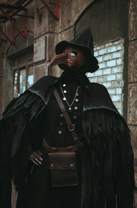 Eileen the Crow inspired Bloodborne cosplay costume with feathered cloak and bird mask