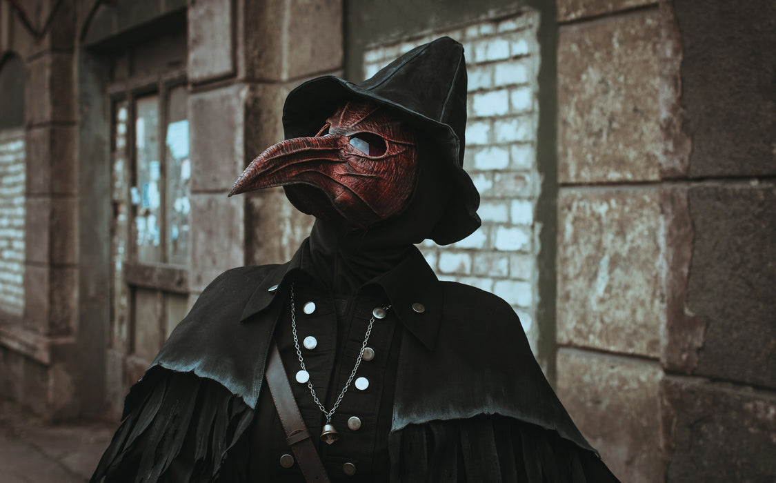 Eileen the Crow inspired Bloodborne cosplay costume with feathered cloak and bird mask