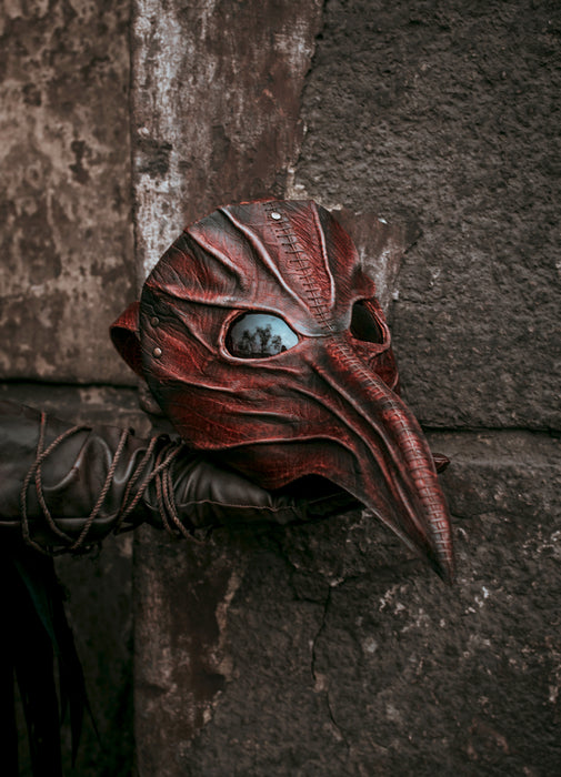 Eileen the Crow Inspired Cosplay Mask from Bloodborne