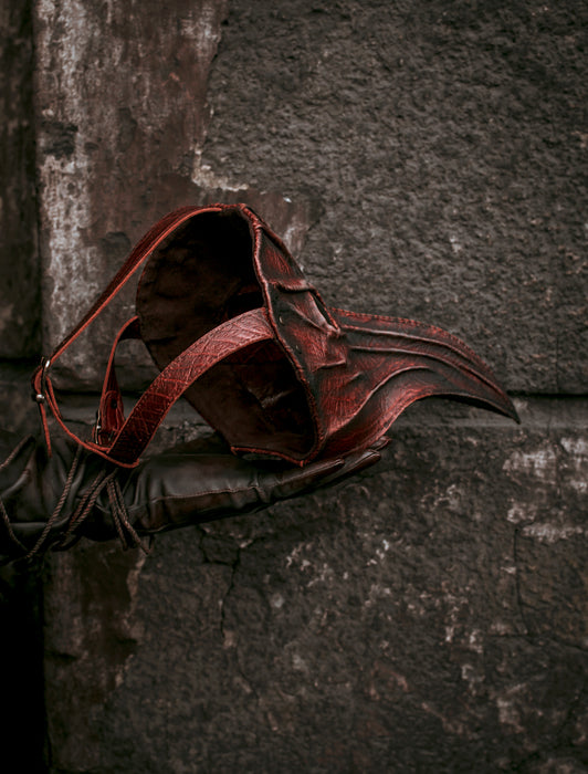 Eileen the Crow Inspired Cosplay Mask from Bloodborne