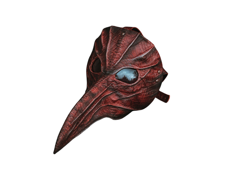 Eileen the Crow Inspired Cosplay Mask from Bloodborne