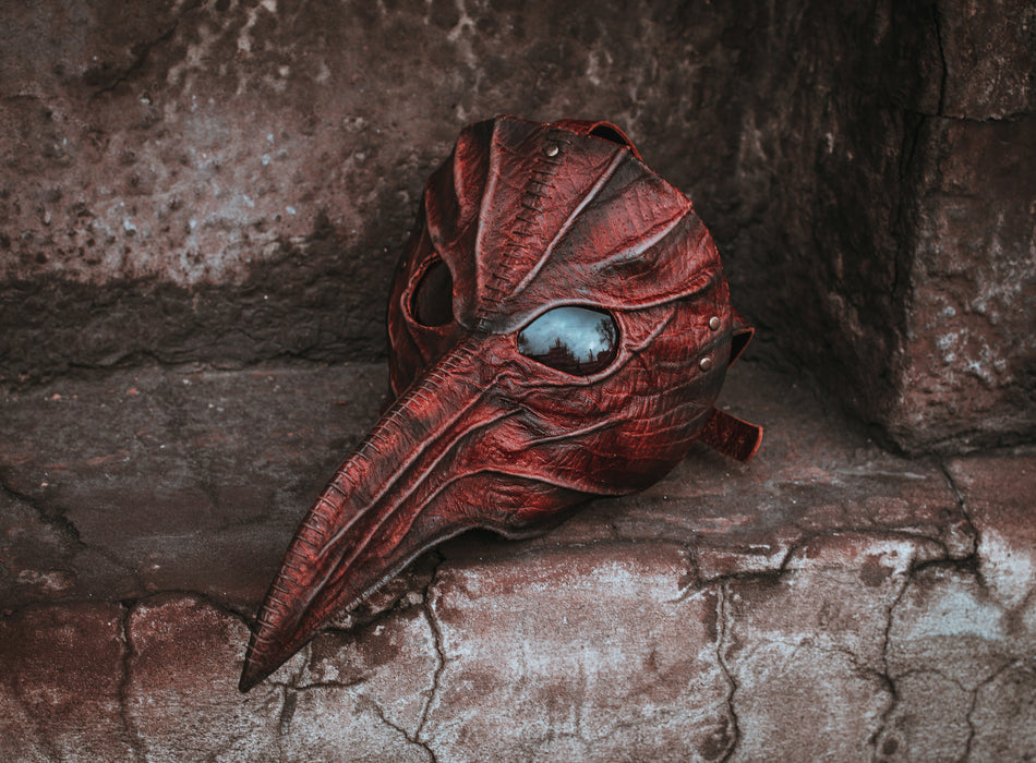 Eileen the Crow Inspired Cosplay Mask from Bloodborne