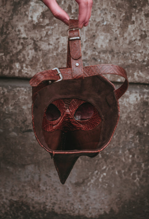 Eileen the Crow Inspired Cosplay Mask from Bloodborne